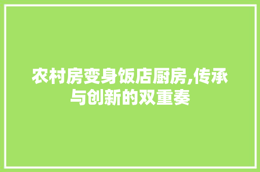 农村房变身饭店厨房,传承与创新的双重奏