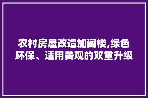 农村房屋改造加阁楼,绿色环保、适用美观的双重升级