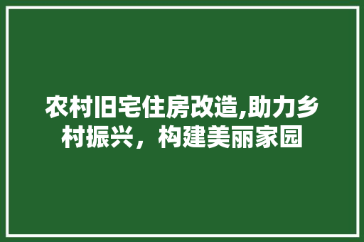 农村旧宅住房改造,助力乡村振兴，构建美丽家园
