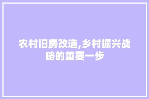 农村旧房改造,乡村振兴战略的重要一步