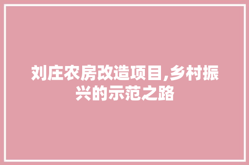 刘庄农房改造项目,乡村振兴的示范之路