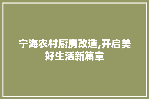 宁海农村厨房改造,开启美好生活新篇章