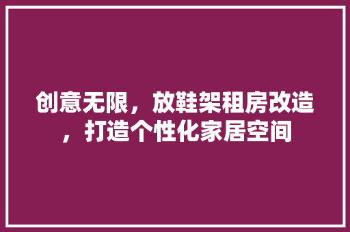 创意无限，放鞋架租房改造，打造个性化家居空间