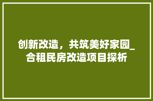 创新改造，共筑美好家园_合租民房改造项目探析