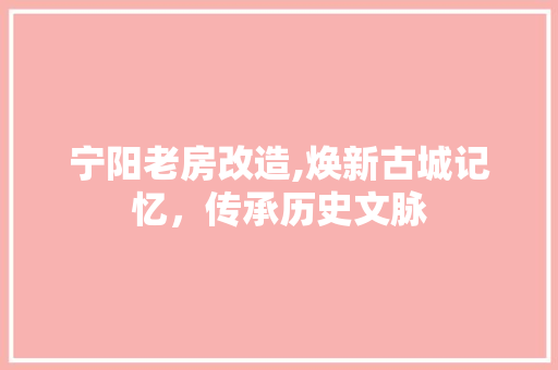宁阳老房改造,焕新古城记忆，传承历史文脉