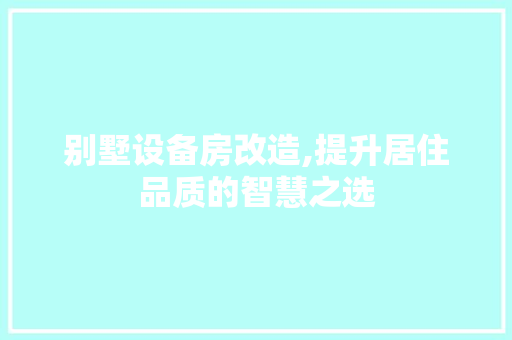 别墅设备房改造,提升居住品质的智慧之选