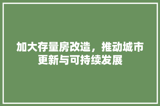 加大存量房改造，推动城市更新与可持续发展