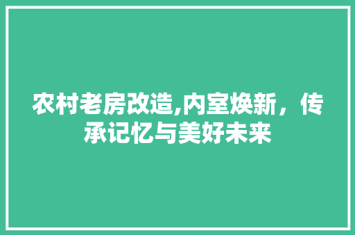 农村老房改造,内室焕新，传承记忆与美好未来