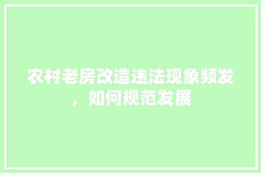 农村老房改造违法现象频发，如何规范发展