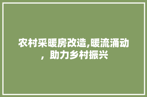 农村采暖房改造,暖流涌动，助力乡村振兴
