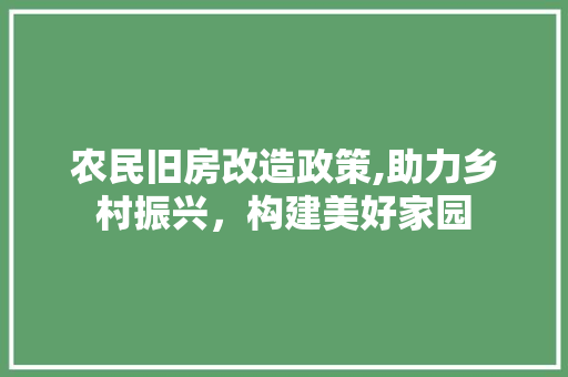 农民旧房改造政策,助力乡村振兴，构建美好家园