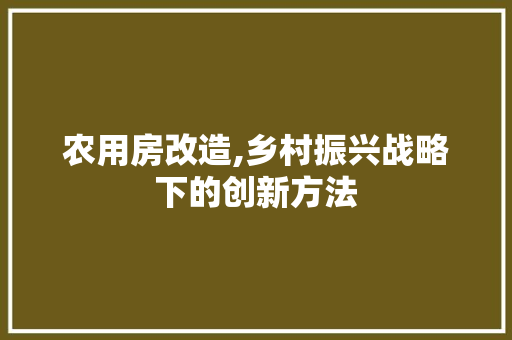 农用房改造,乡村振兴战略下的创新方法