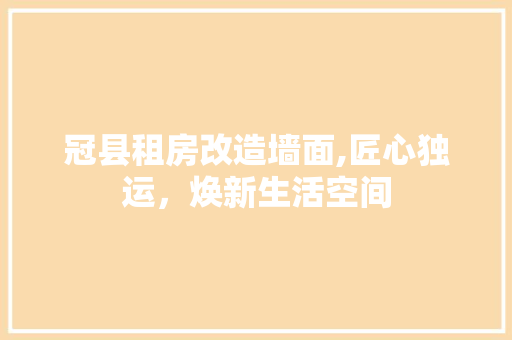 冠县租房改造墙面,匠心独运，焕新生活空间