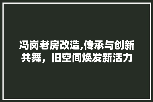 冯岗老房改造,传承与创新共舞，旧空间焕发新活力