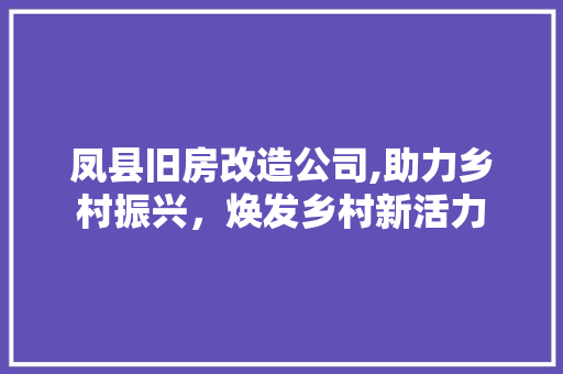 凤县旧房改造公司,助力乡村振兴，焕发乡村新活力