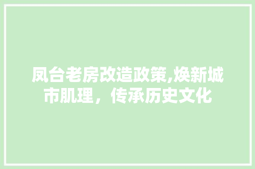 凤台老房改造政策,焕新城市肌理，传承历史文化