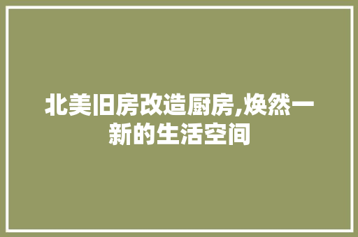 北美旧房改造厨房,焕然一新的生活空间