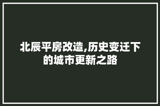 北辰平房改造,历史变迁下的城市更新之路