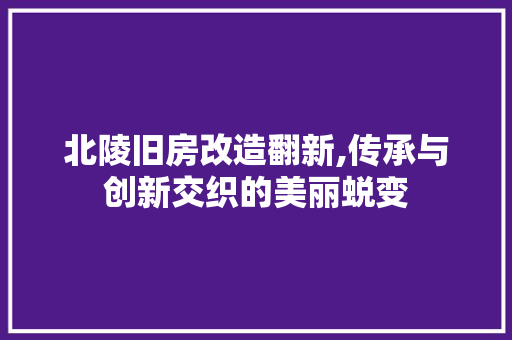 北陵旧房改造翻新,传承与创新交织的美丽蜕变