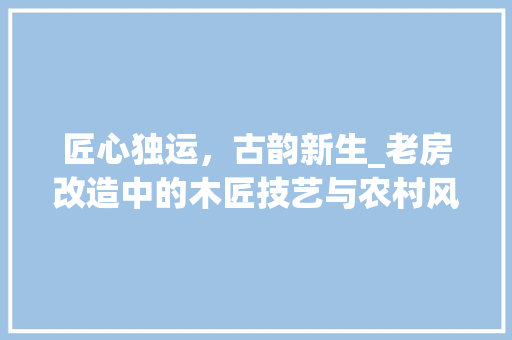 匠心独运，古韵新生_老房改造中的木匠技艺与农村风貌