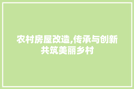农村房屋改造,传承与创新共筑美丽乡村