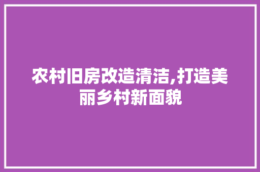 农村旧房改造清洁,打造美丽乡村新面貌