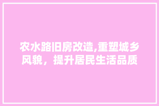 农水路旧房改造,重塑城乡风貌，提升居民生活品质