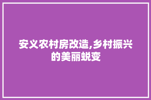 安义农村房改造,乡村振兴的美丽蜕变