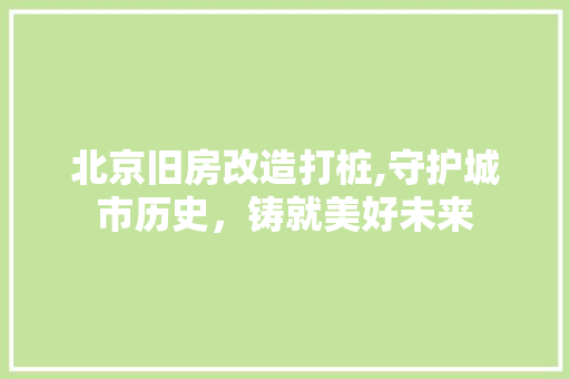 北京旧房改造打桩,守护城市历史，铸就美好未来