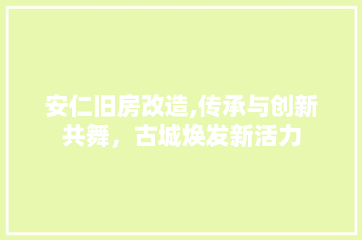 安仁旧房改造,传承与创新共舞，古城焕发新活力
