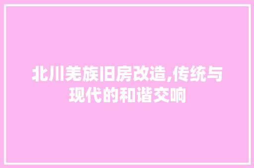 北川羌族旧房改造,传统与现代的和谐交响