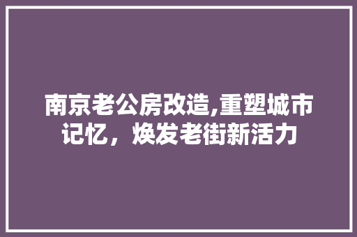 南京老公房改造,重塑城市记忆，焕发老街新活力