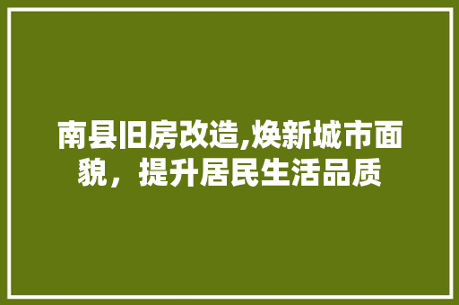南县旧房改造,焕新城市面貌，提升居民生活品质