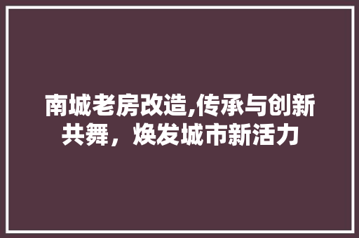 南城老房改造,传承与创新共舞，焕发城市新活力