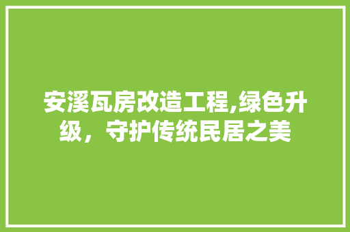 安溪瓦房改造工程,绿色升级，守护传统民居之美