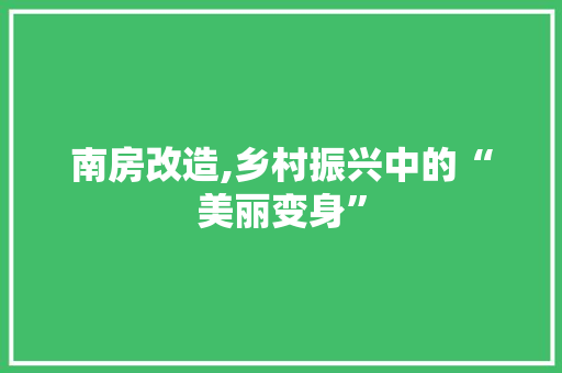 南房改造,乡村振兴中的“美丽变身”