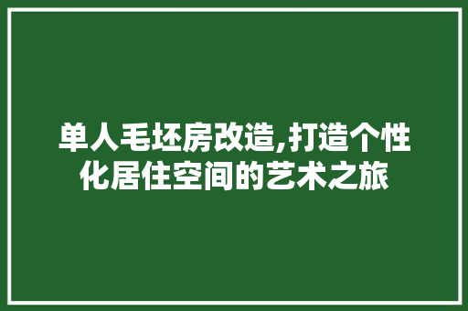 单人毛坯房改造,打造个性化居住空间的艺术之旅