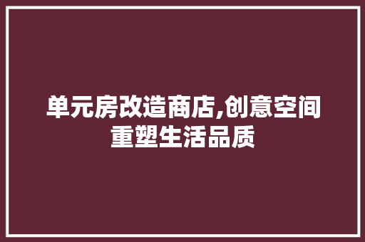 单元房改造商店,创意空间重塑生活品质