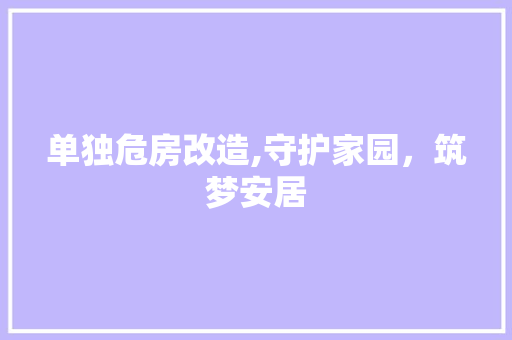 单独危房改造,守护家园，筑梦安居