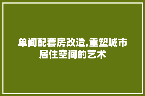 单间配套房改造,重塑城市居住空间的艺术