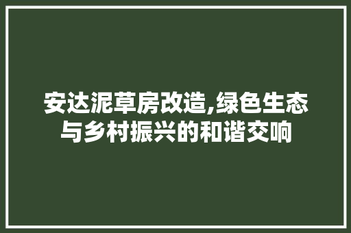 安达泥草房改造,绿色生态与乡村振兴的和谐交响
