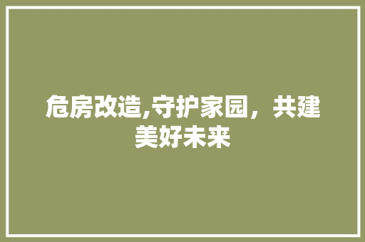 危房改造,守护家园，共建美好未来