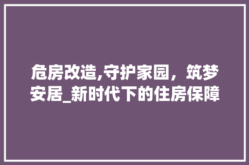 危房改造,守护家园，筑梦安居_新时代下的住房保障工程