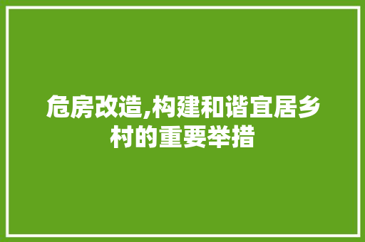 危房改造,构建和谐宜居乡村的重要举措