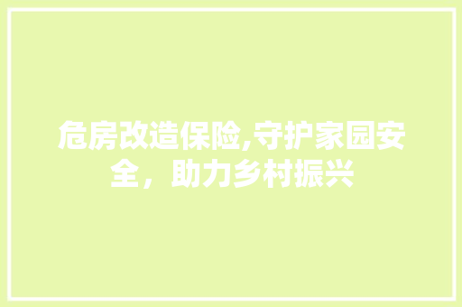危房改造保险,守护家园安全，助力乡村振兴