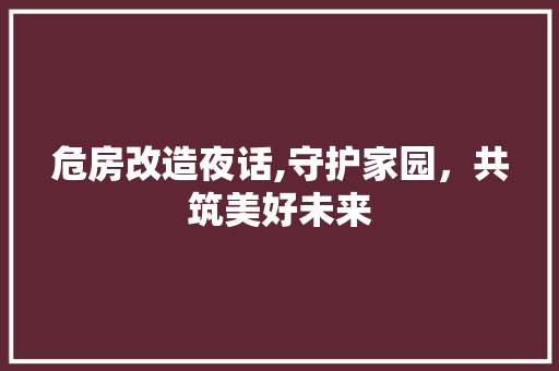 危房改造夜话,守护家园，共筑美好未来