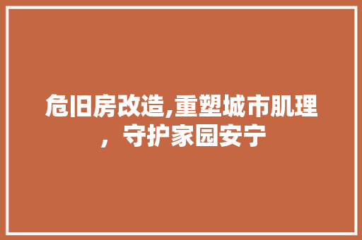 危旧房改造,重塑城市肌理，守护家园安宁