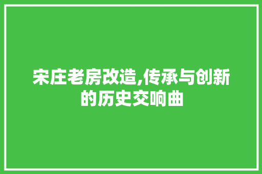 宋庄老房改造,传承与创新的历史交响曲