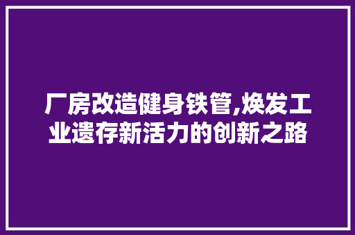 厂房改造健身铁管,焕发工业遗存新活力的创新之路