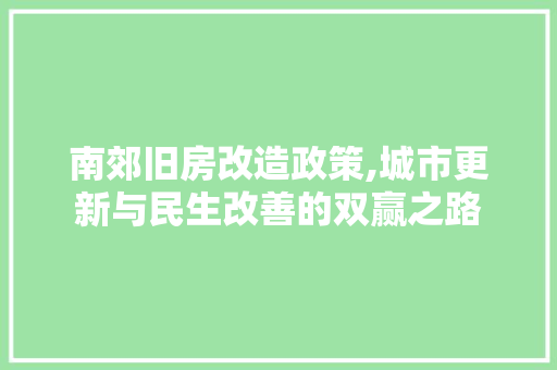 南郊旧房改造政策,城市更新与民生改善的双赢之路